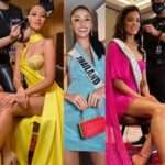 7-Veteran-Pageants-Ini-Siap-Rebutkan-Mahkota-Miss-Universe-2020