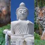 3-Objek-Wisata-Terkenal-di-Phuket-Thailand