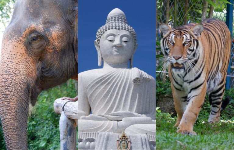 3 Objek Wisata Terkenal di Phuket Thailand